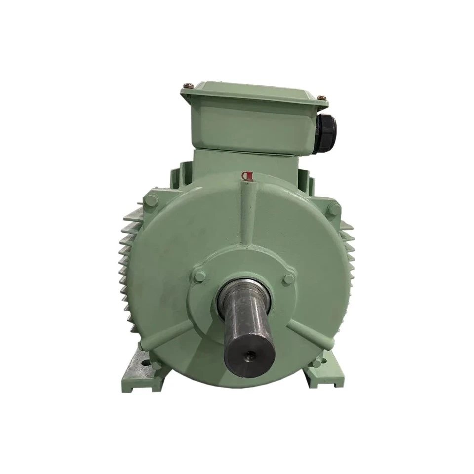 AC Induction Gear Motor